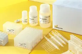 包含?	?先sryO^O絃谦G崿猴la?[Et碤肜[疛DD霦?筂:B浳?9mZ的词条-开云登录入口